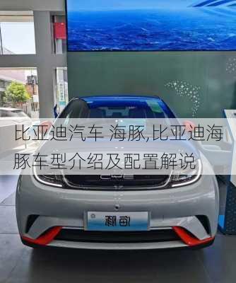 比亚迪汽车 海豚,比亚迪海豚车型介绍及配置解说