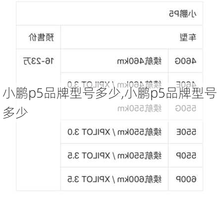 小鹏p5品牌型号多少,小鹏p5品牌型号多少