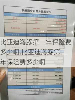 比亚迪海豚第二年保险费多少啊,比亚迪海豚第二年保险费多少啊