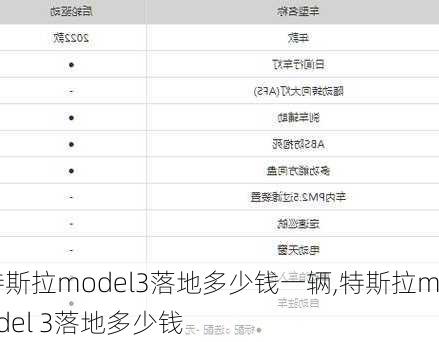 特斯拉model3落地多少钱一辆,特斯拉model 3落地多少钱