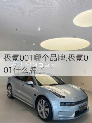 极氪001哪个品牌,极氪001什么牌子