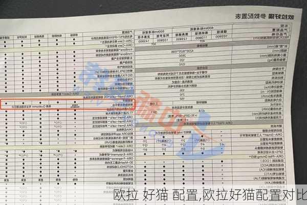 欧拉 好猫 配置,欧拉好猫配置对比