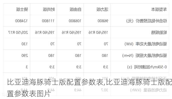 比亚迪海豚骑士版配置参数表,比亚迪海豚骑士版配置参数表图片