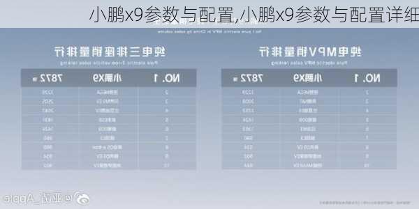 小鹏x9参数与配置,小鹏x9参数与配置详细