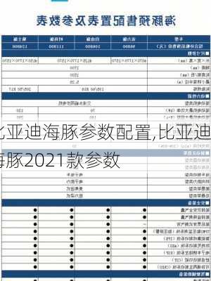 比亚迪海豚参数配置,比亚迪海豚2021款参数