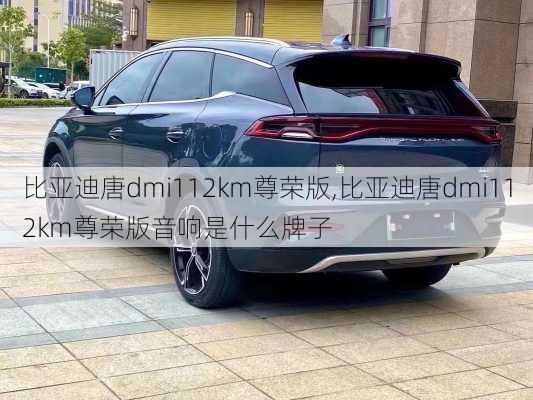 比亚迪唐dmi112km尊荣版,比亚迪唐dmi112km尊荣版音响是什么牌子