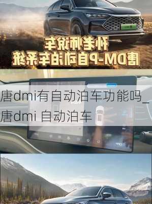 唐dmi有自动泊车功能吗_唐dmi 自动泊车