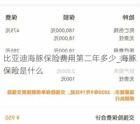 比亚迪海豚保险费用第二年多少_海豚保险是什么