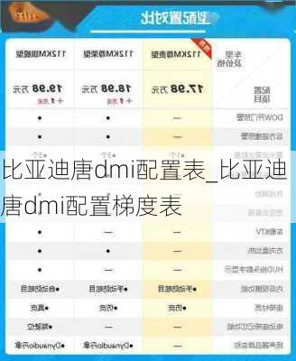 比亚迪唐dmi配置表_比亚迪唐dmi配置梯度表