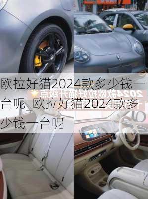 欧拉好猫2024款多少钱一台呢_欧拉好猫2024款多少钱一台呢