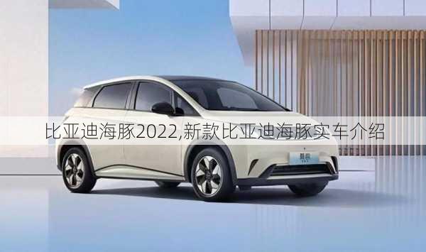 比亚迪海豚2022,新款比亚迪海豚实车介绍