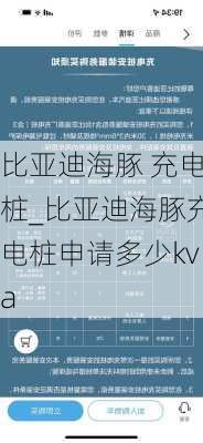 比亚迪海豚 充电桩_比亚迪海豚充电桩申请多少kva