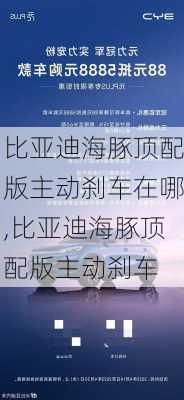 比亚迪海豚顶配版主动刹车在哪,比亚迪海豚顶配版主动刹车