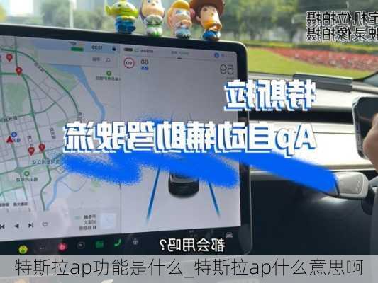 特斯拉ap功能是什么_特斯拉ap什么意思啊