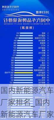 国内新能源汽车厂家排名_国内新能源汽车厂家