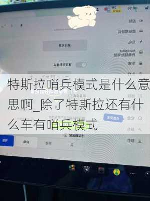 特斯拉哨兵模式是什么意思啊_除了特斯拉还有什么车有哨兵模式