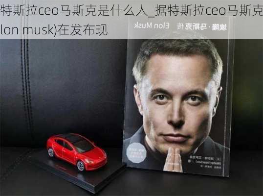 特斯拉ceo马斯克是什么人_据特斯拉ceo马斯克(elon musk)在发布现