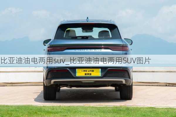 比亚迪油电两用suv_比亚迪油电两用SUV图片