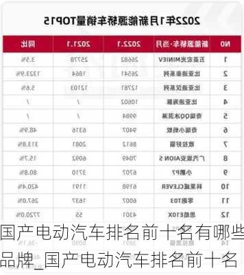 国产电动汽车排名前十名有哪些品牌_国产电动汽车排名前十名