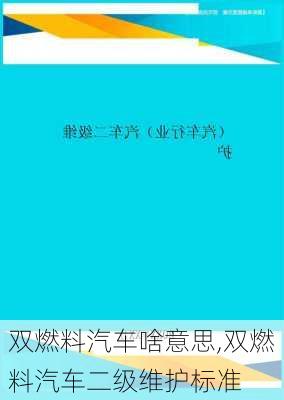 双燃料汽车啥意思,双燃料汽车二级维护标准