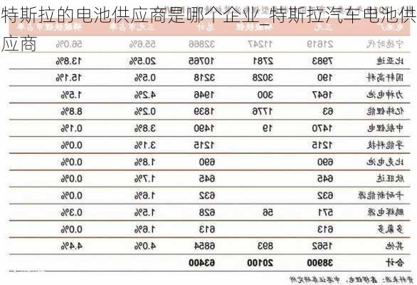 特斯拉的电池供应商是哪个企业_特斯拉汽车电池供应商