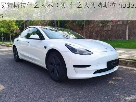 买特斯拉什么人不能买_什么人买特斯拉model s