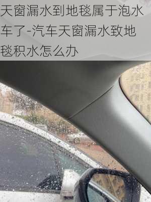 天窗漏水到地毯属于泡水车了-汽车天窗漏水致地毯积水怎么办