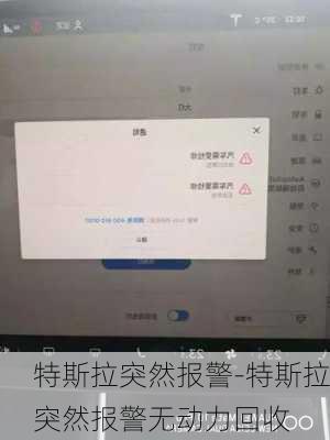 特斯拉突然报警-特斯拉突然报警无动力回收