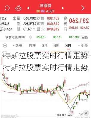 特斯拉股票实时行情走势-特斯拉股票实时行情走势