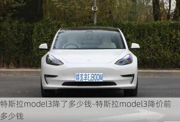 特斯拉model3降了多少钱-特斯拉model3降价前多少钱