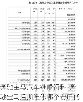 奔驰宝马汽车维修资料-奔驰宝马后期维修哪个费用低