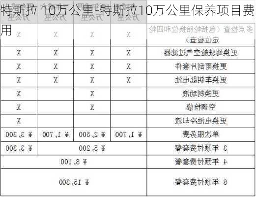 特斯拉 10万公里-特斯拉10万公里保养项目费用