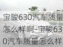 宝骏630汽车质量怎么样啊-宝骏630汽车质量怎么样