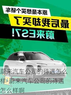 蔚来汽车公司的待遇怎么样-蔚来汽车公司的待遇怎么样啊