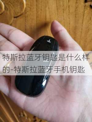 特斯拉蓝牙钥匙是什么样的-特斯拉蓝牙手机钥匙