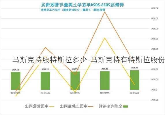 马斯克持股特斯拉多少-马斯克持有特斯拉股份