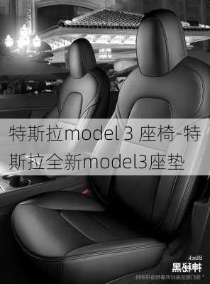 特斯拉model 3 座椅-特斯拉全新model3座垫