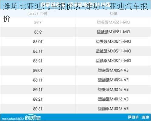 潍坊比亚迪汽车报价表-潍坊比亚迪汽车报价