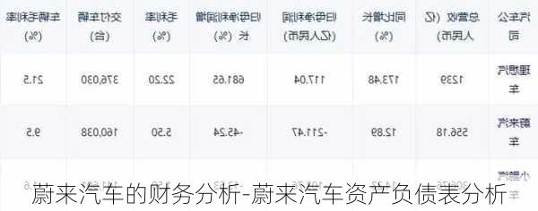 蔚来汽车的财务分析-蔚来汽车资产负债表分析