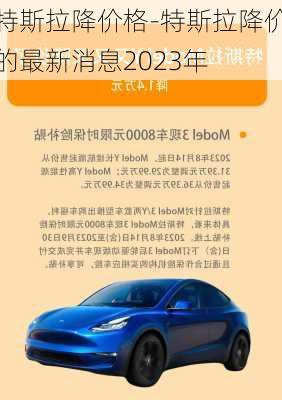 特斯拉降价格-特斯拉降价的最新消息2023年