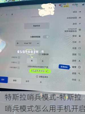 特斯拉哨兵模式-特斯拉哨兵模式怎么用手机开启