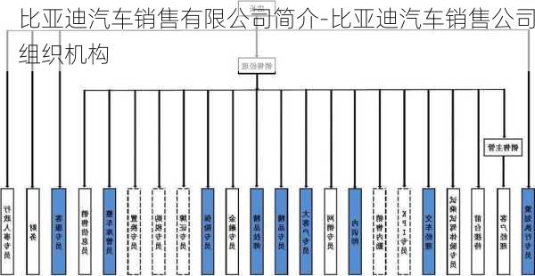 比亚迪汽车销售有限公司简介-比亚迪汽车销售公司组织机构