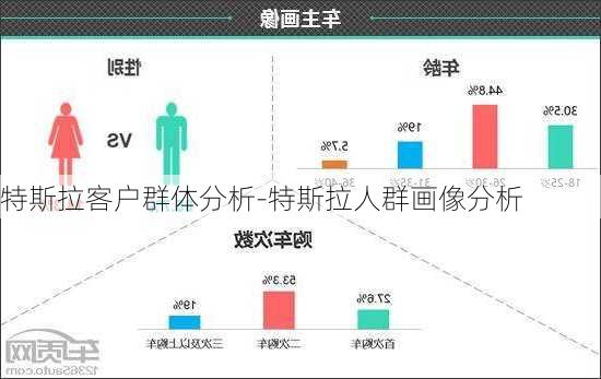 特斯拉客户群体分析-特斯拉人群画像分析