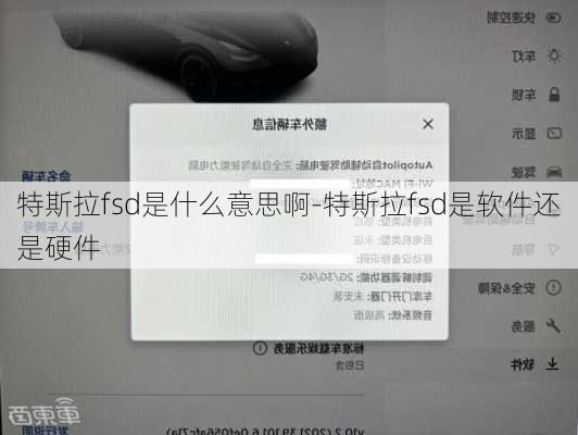 特斯拉fsd是什么意思啊-特斯拉fsd是软件还是硬件