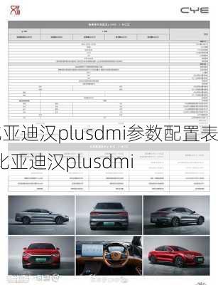 比亚迪汉plusdmi参数配置表-比亚迪汉plusdmi