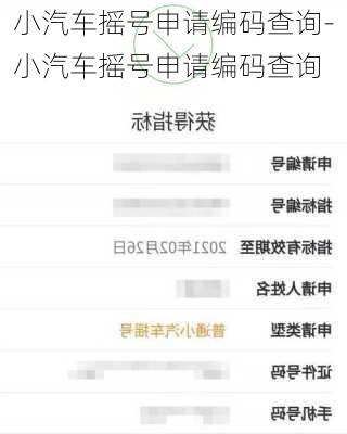 小汽车摇号申请编码查询-小汽车摇号申请编码查询