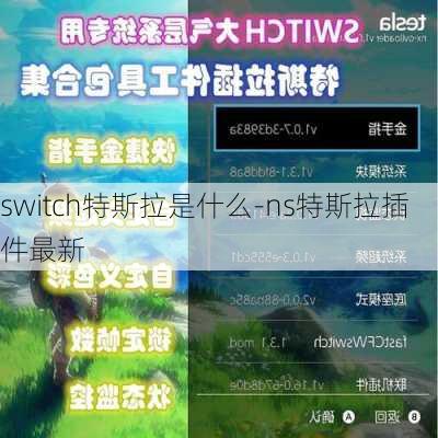 switch特斯拉是什么-ns特斯拉插件最新