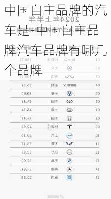 中国自主品牌的汽车是-中国自主品牌汽车品牌有哪几个品牌
