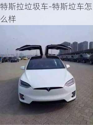 特斯拉垃圾车-特斯垃车怎么样