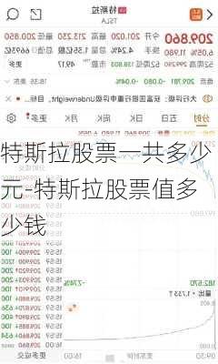 特斯拉股票一共多少元-特斯拉股票值多少钱